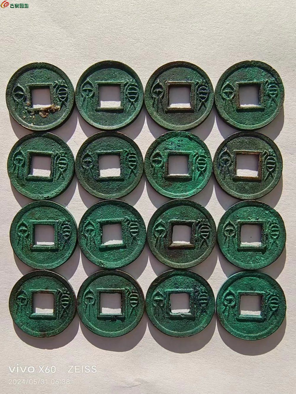 86.jpg