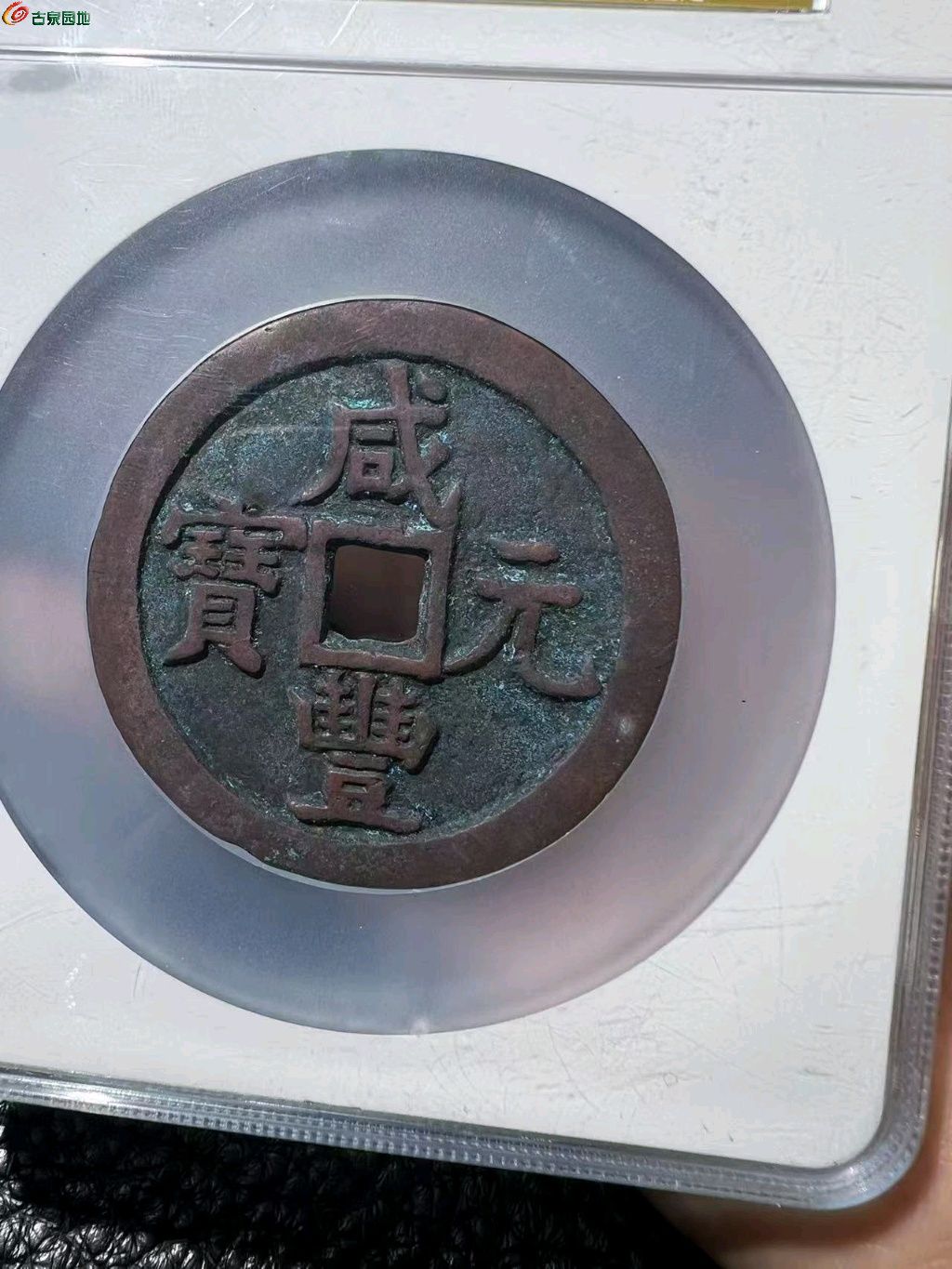 图片点击可在新窗口打开查看