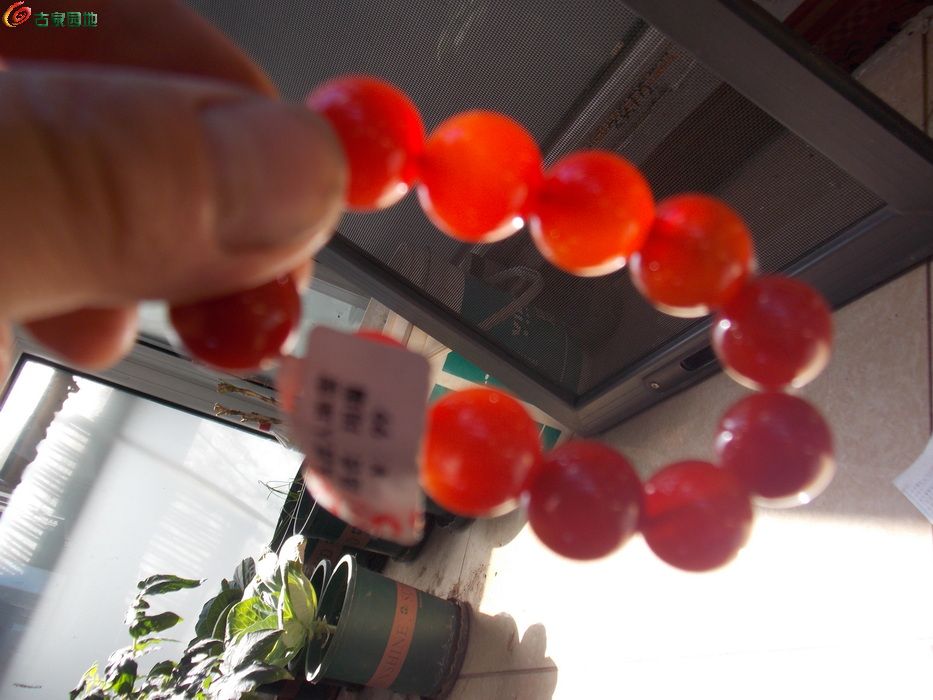 DSCN1764_调整大小.JPG