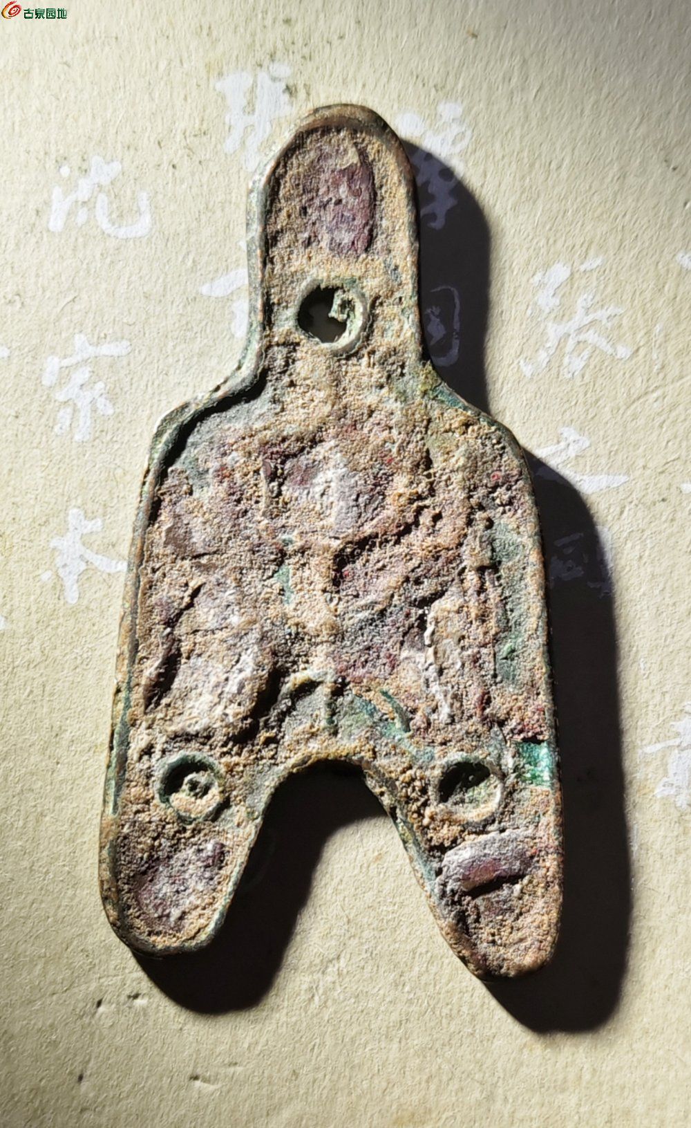 15447.jpg