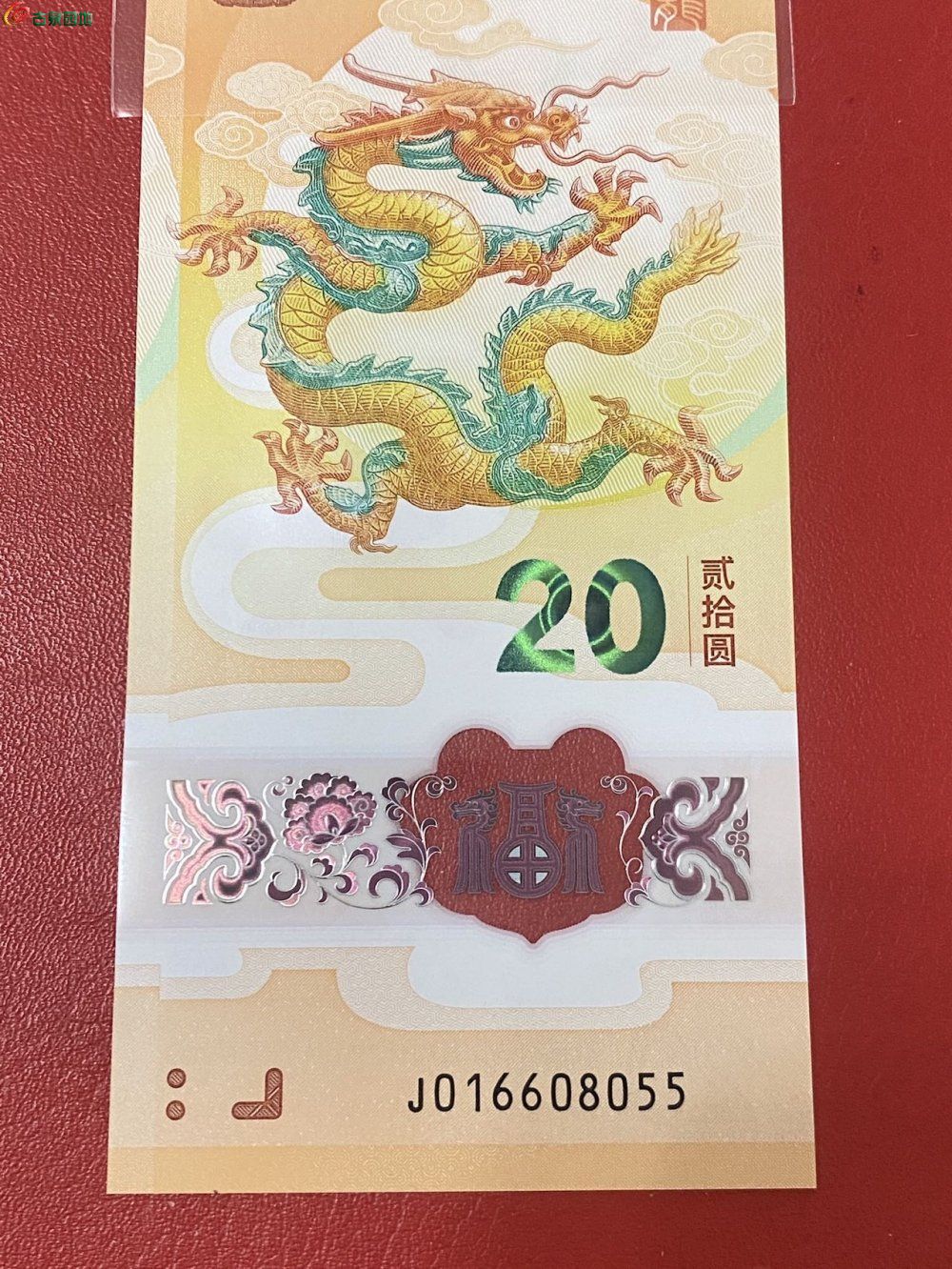 87987.jpg