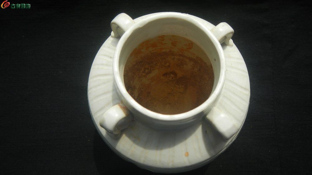 DSCN1325.JPG