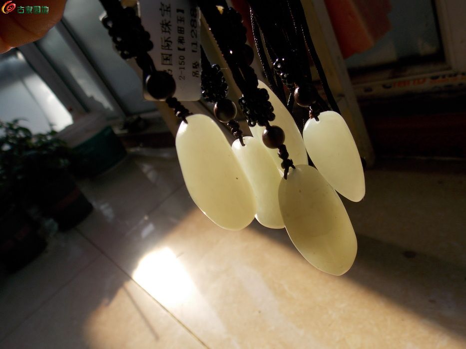 DSCN6977_调整大小.JPG