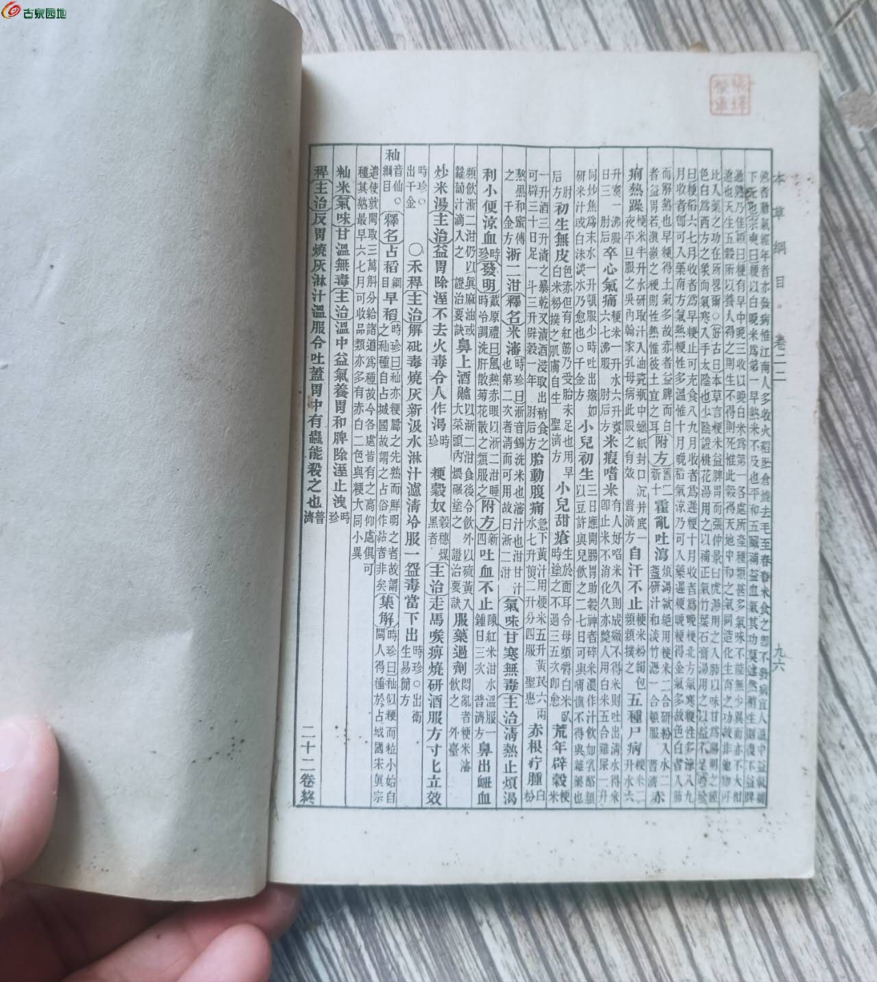 21255.jpg