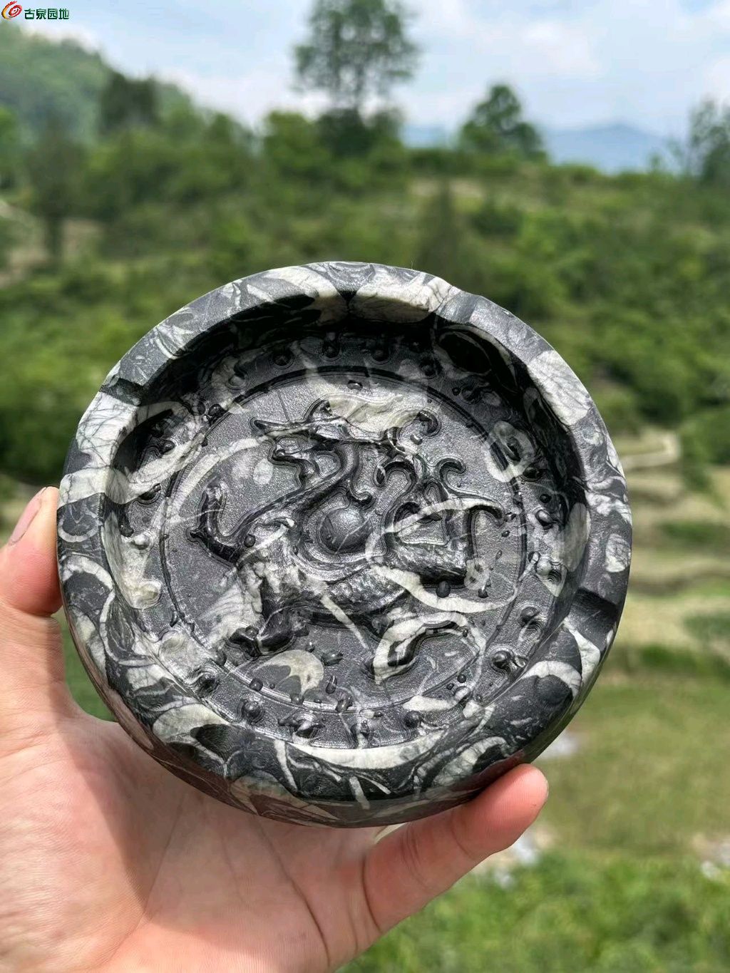 图片点击可在新窗口打开查看