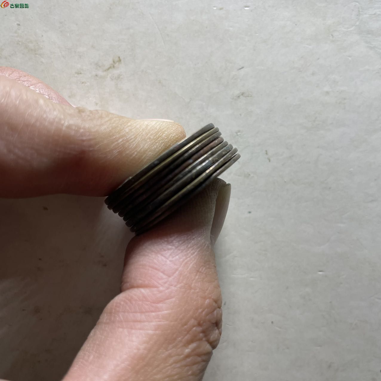 98816.jpg