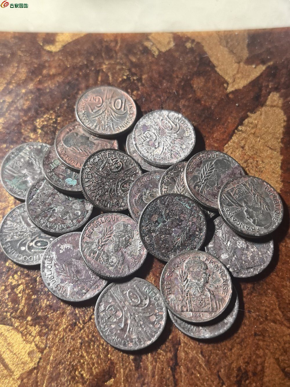 1748086807285.jpg