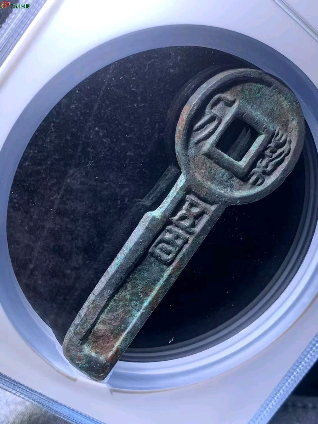 图片点击可在新窗口打开查看