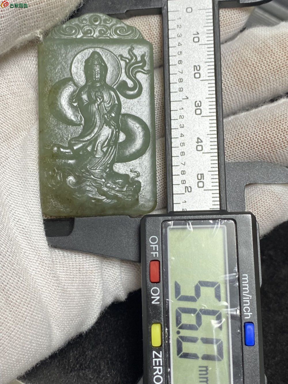 48302.jpg