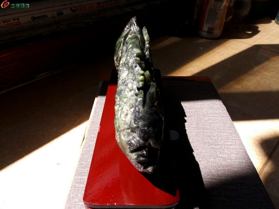 DSCN1656_调整大小.JPG