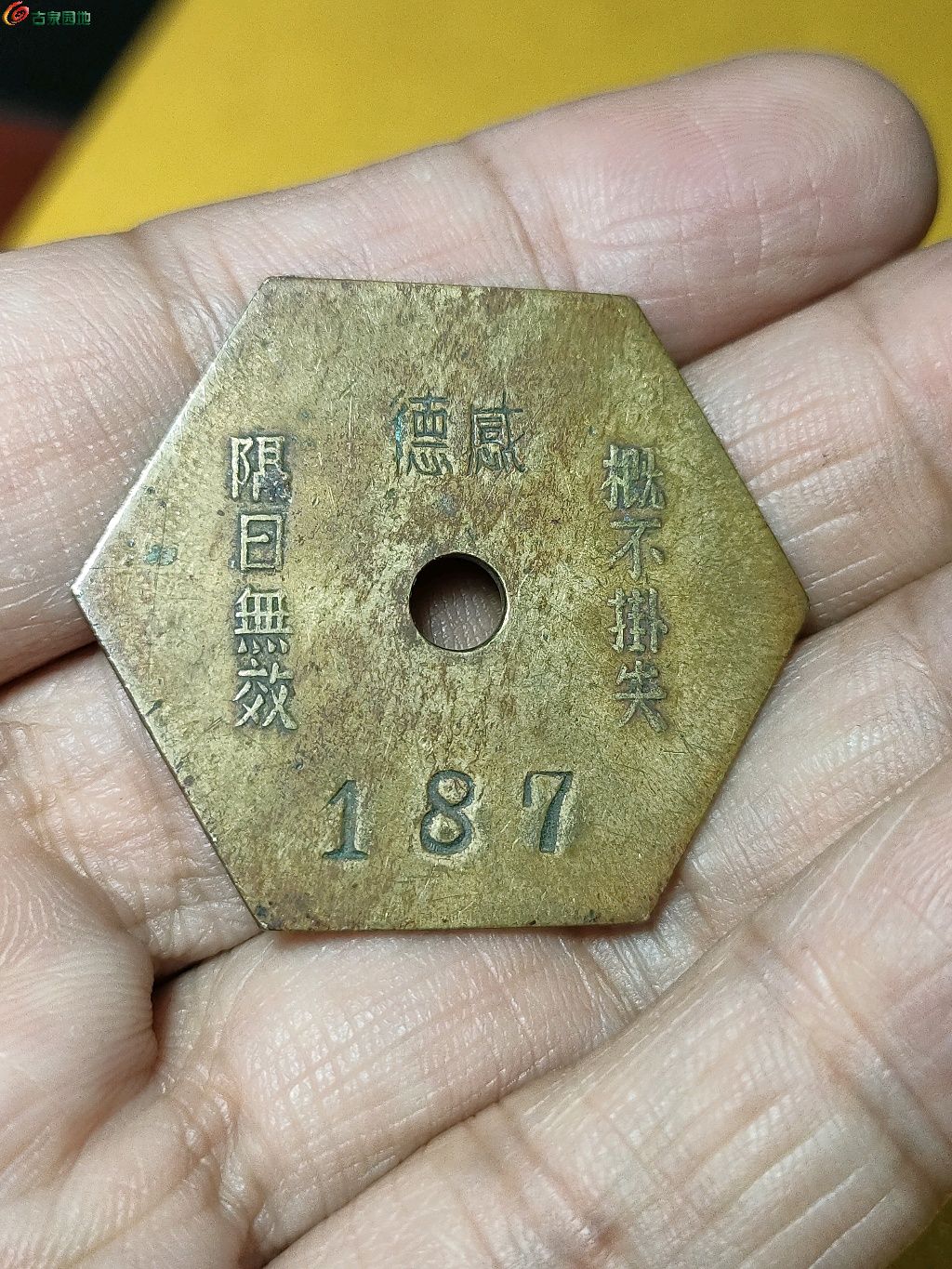1749006084225.xfile.jpg