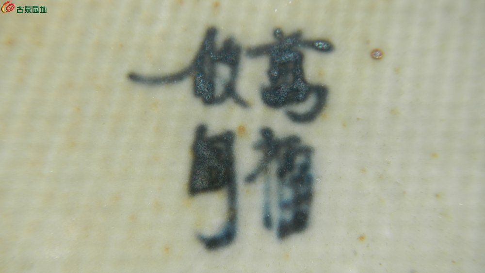 DSCN1275.JPG