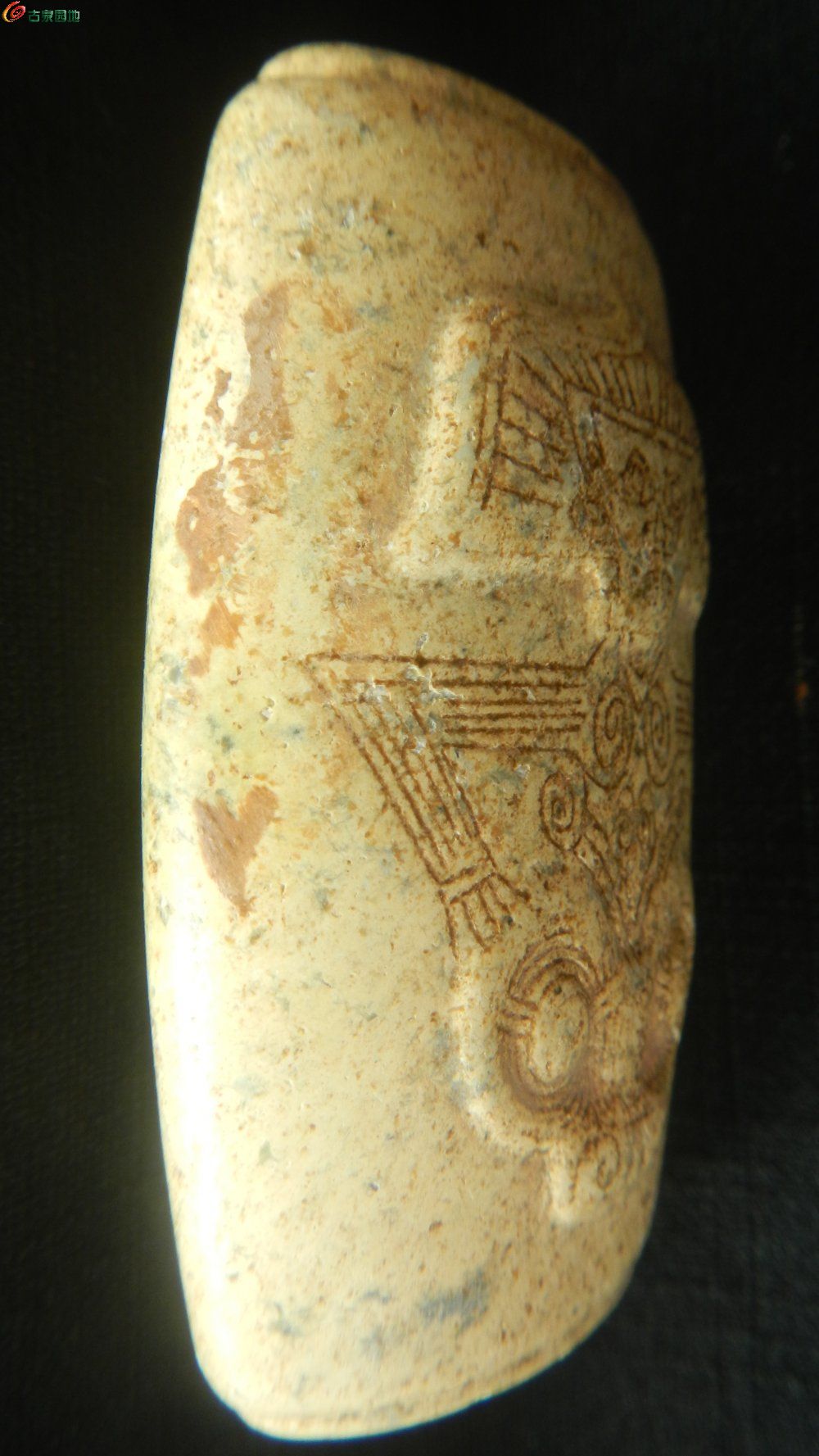DSCN1291.JPG