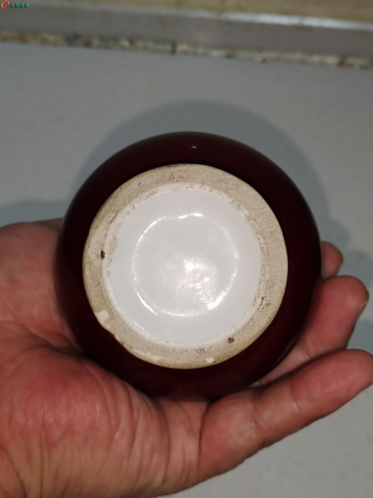 87837.jpg