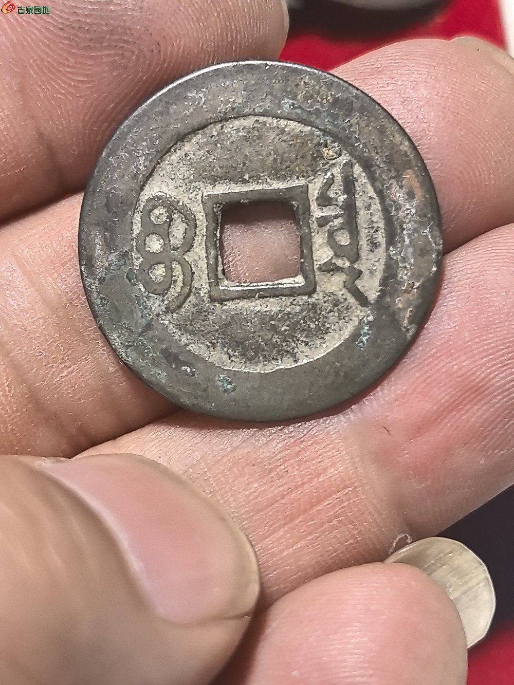 1749262118028.jpg