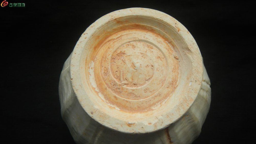 DSCN1331.JPG