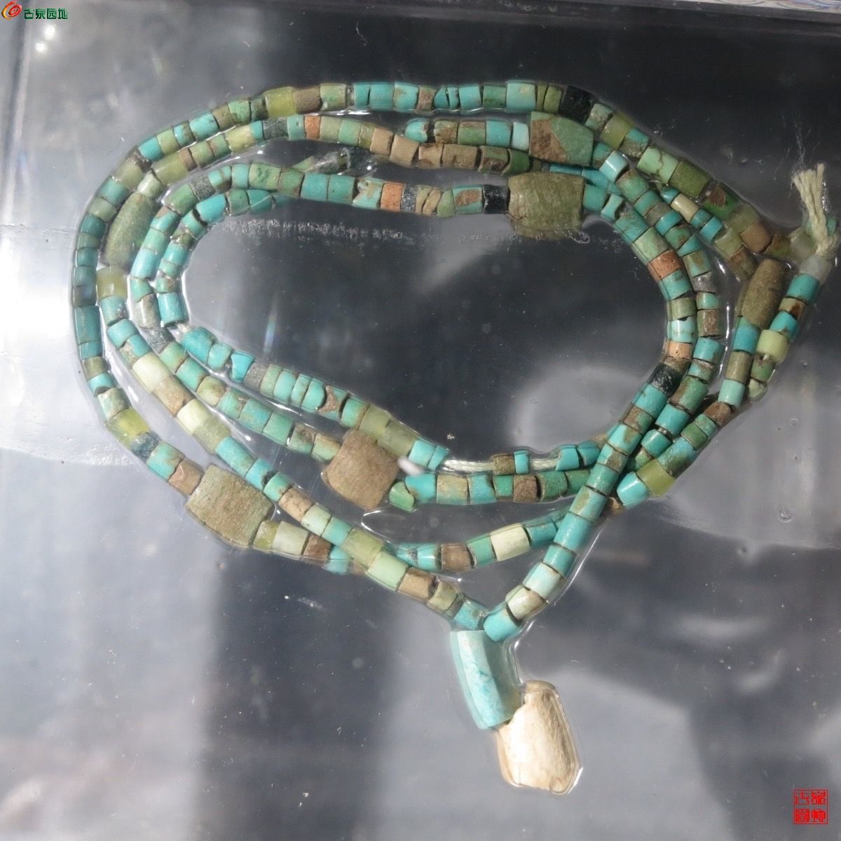 A514F5D8-E036-41F1-8D30-E6F4D28FA3D2.jpe