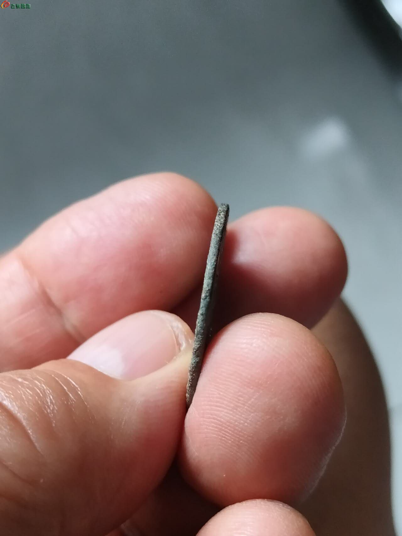98831.jpg
