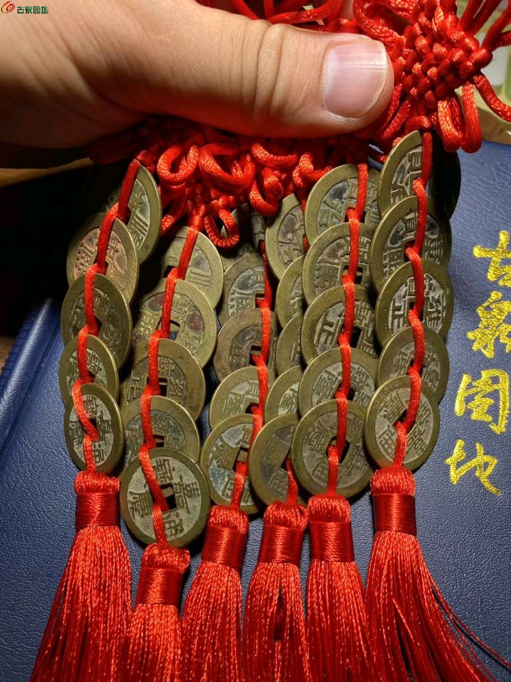 图片点击可在新窗口打开查看