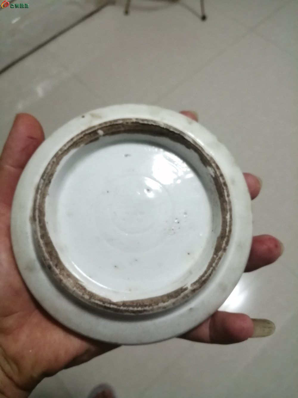 mmexport1663240449926.jpg