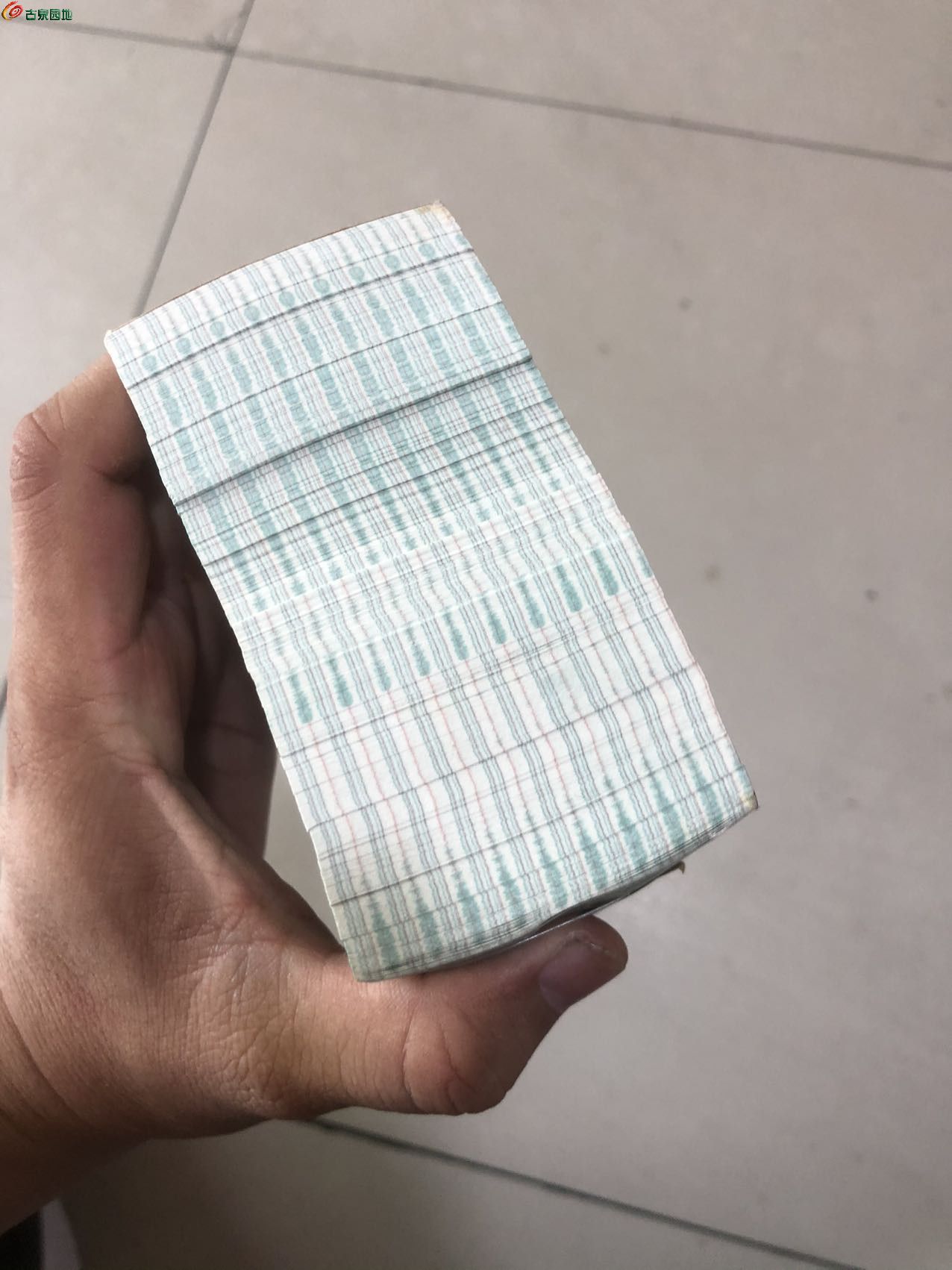 54514.jpg