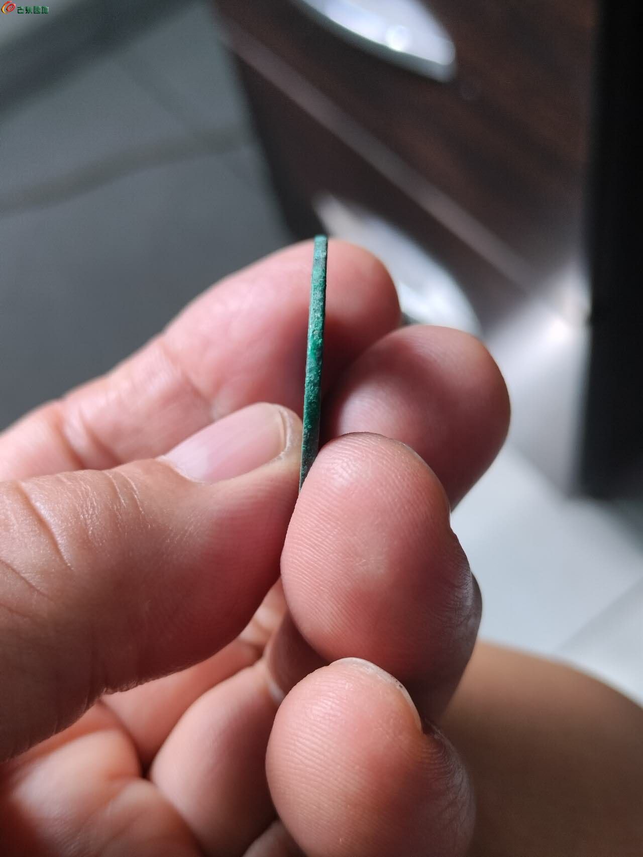 42569.jpg