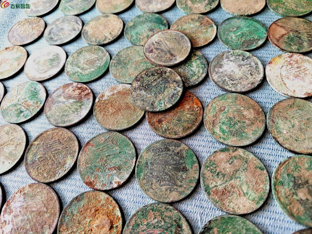 IMG_20220625_141937_edit_15842702364059.