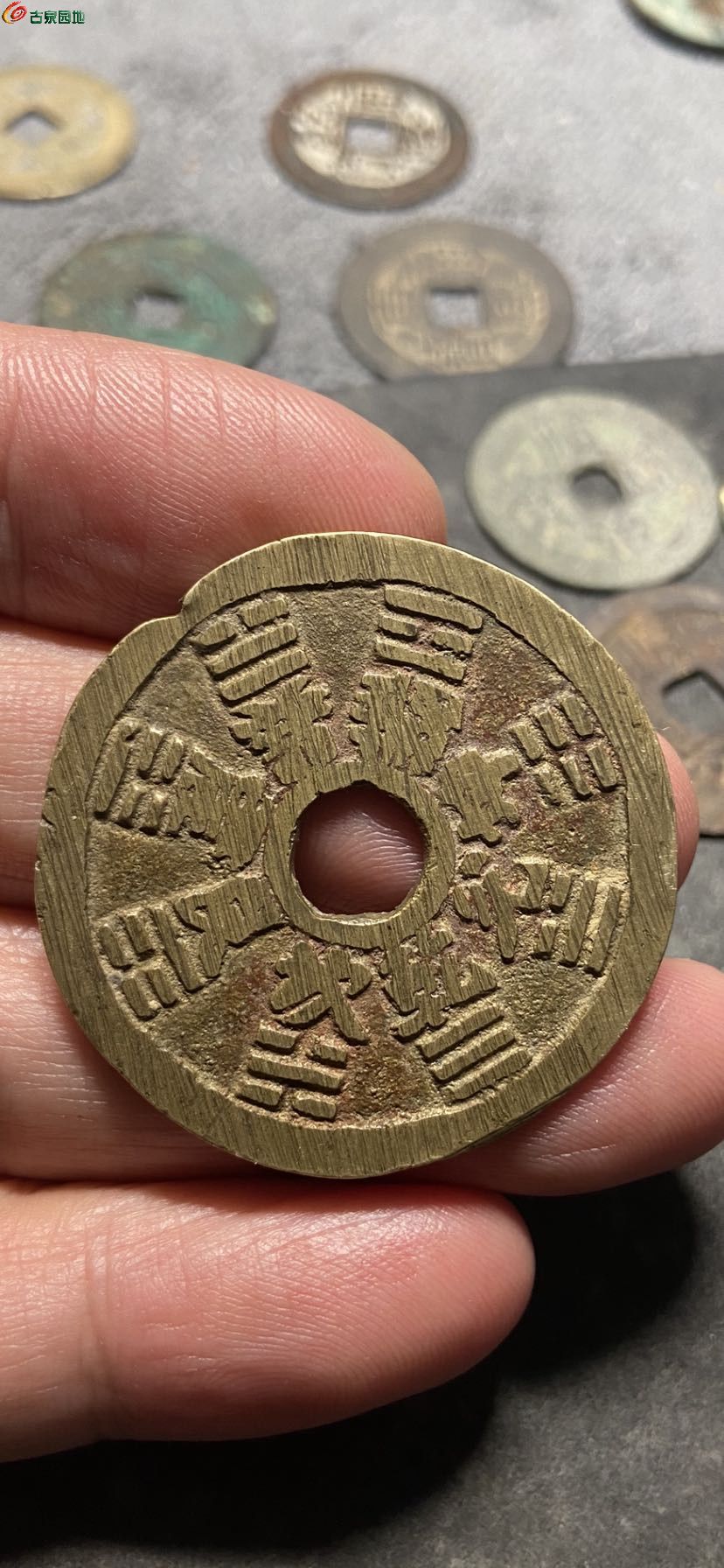 77133.jpg