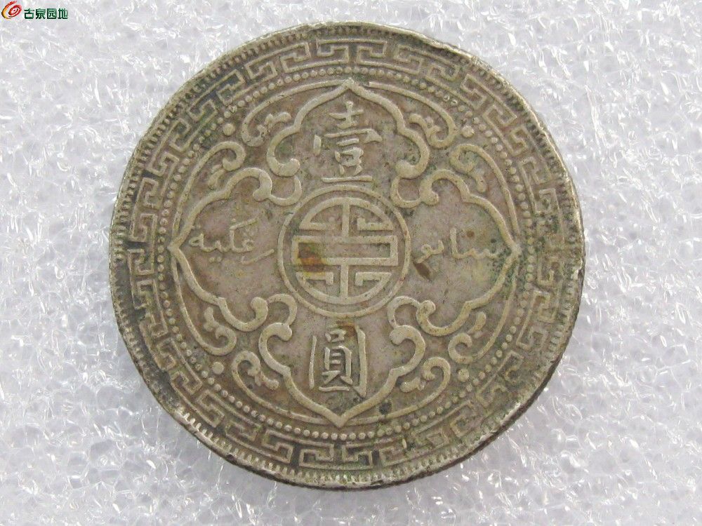 011_conew1.jpg
