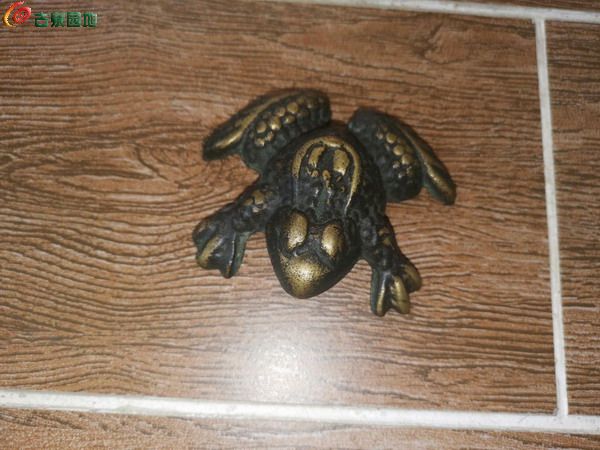 IMG_20221127_094205_edit_122333927236540