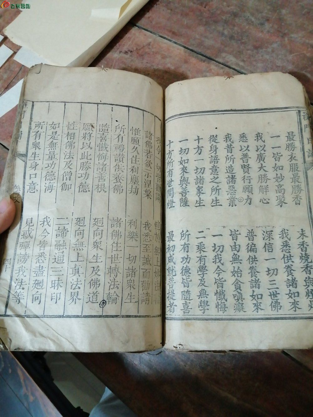 IMG_20230219_191947_edit_1640454667978.j