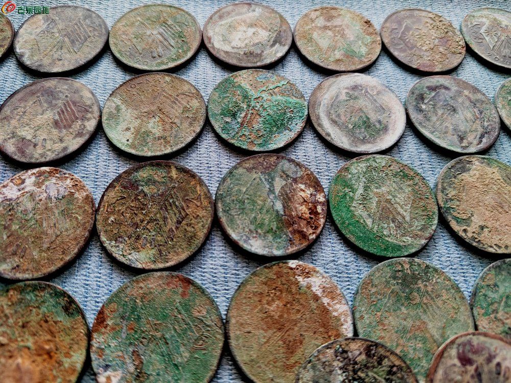 IMG_20220625_141954_edit_15865376935822.