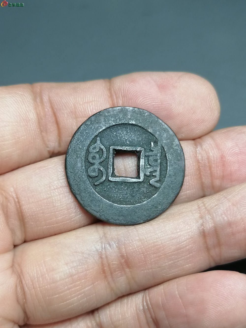40,447559ce5e7dc1.jpg