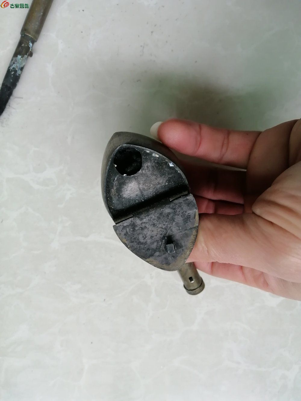 IMG_20230328_095530_edit_11334227405040.