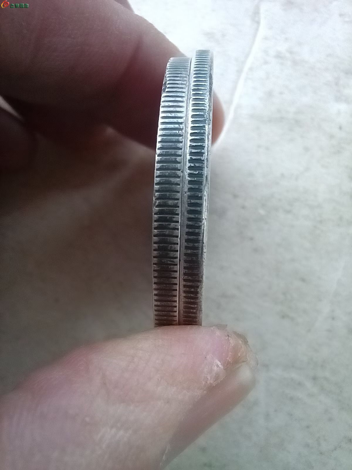 56952.jpg