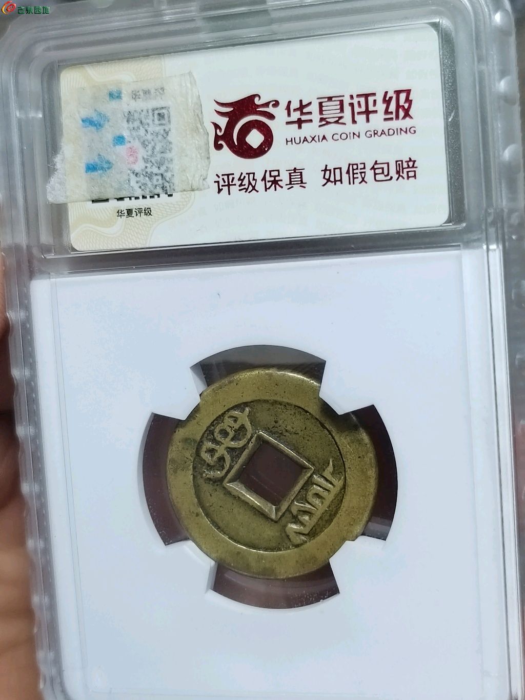 1679174498514.xfile.jpg