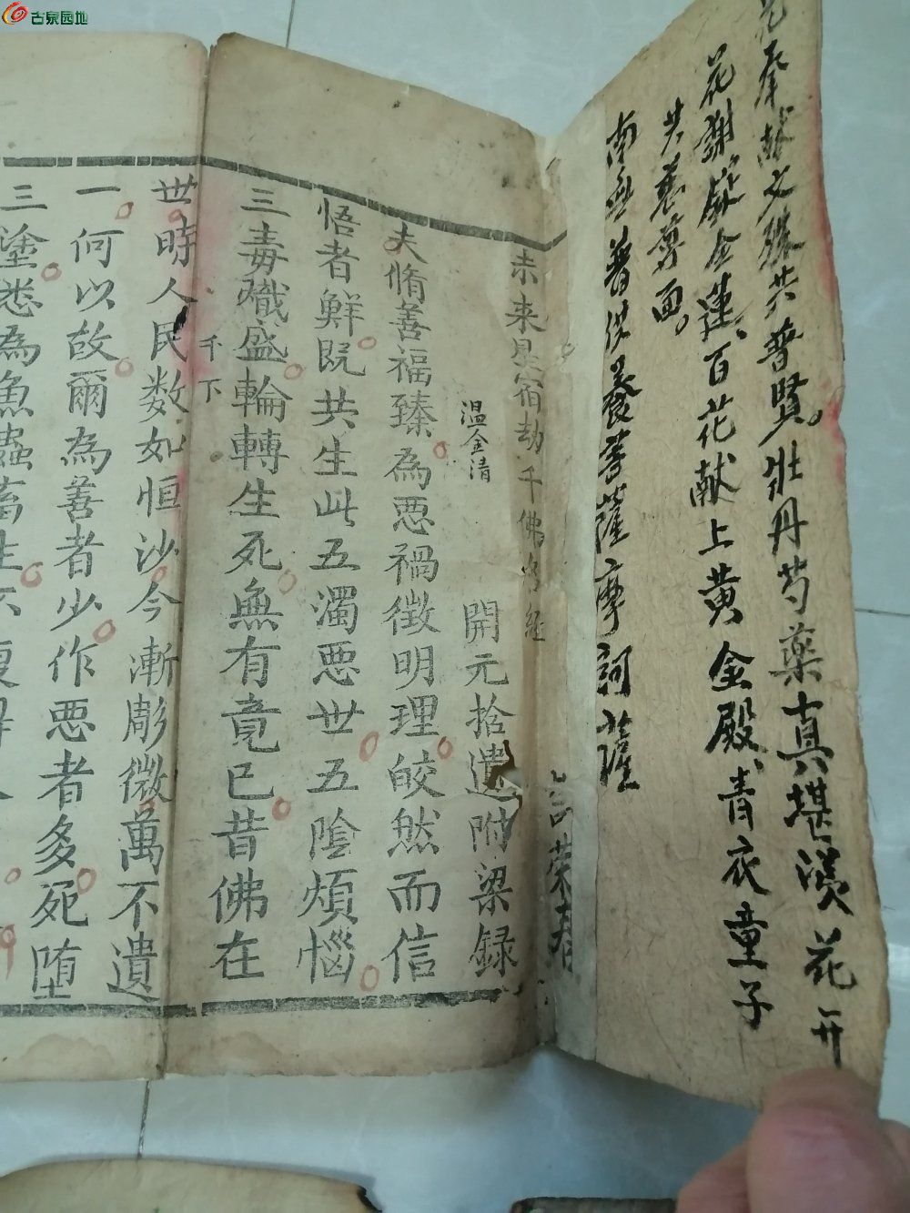 IMG_20230407_182312_edit_118857459973529