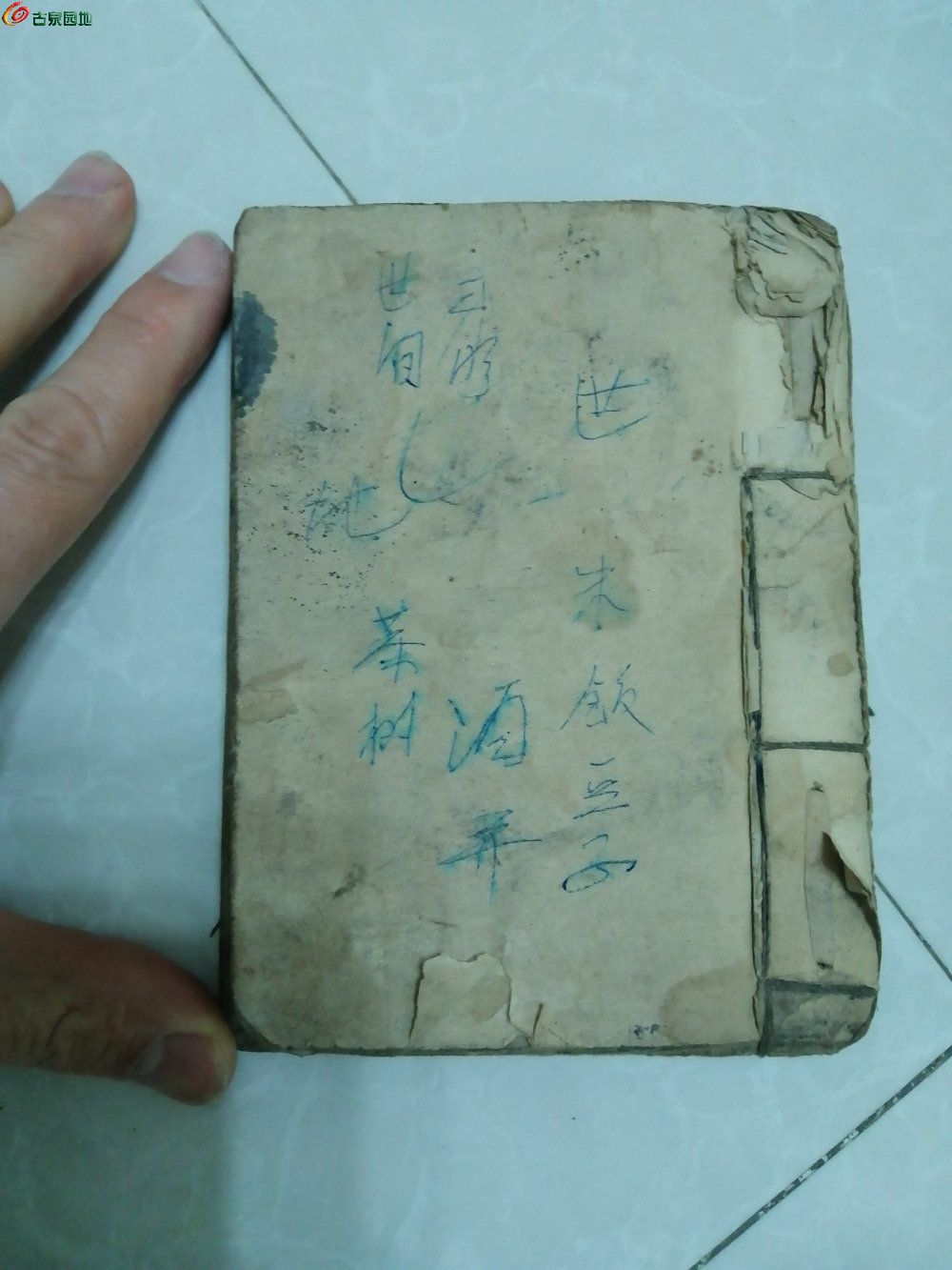 IMG_20230423_212740_edit_600055233720937