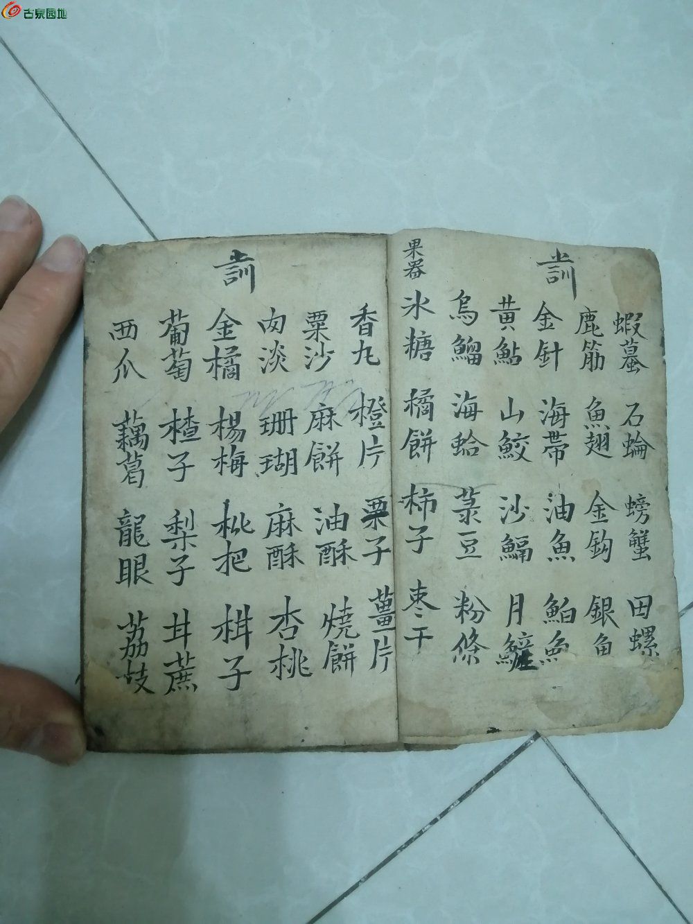 IMG_20230423_212749_edit_599973569496991