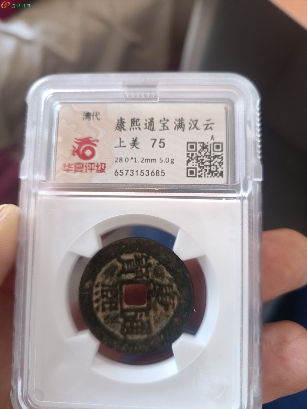 1765677051980.jpg