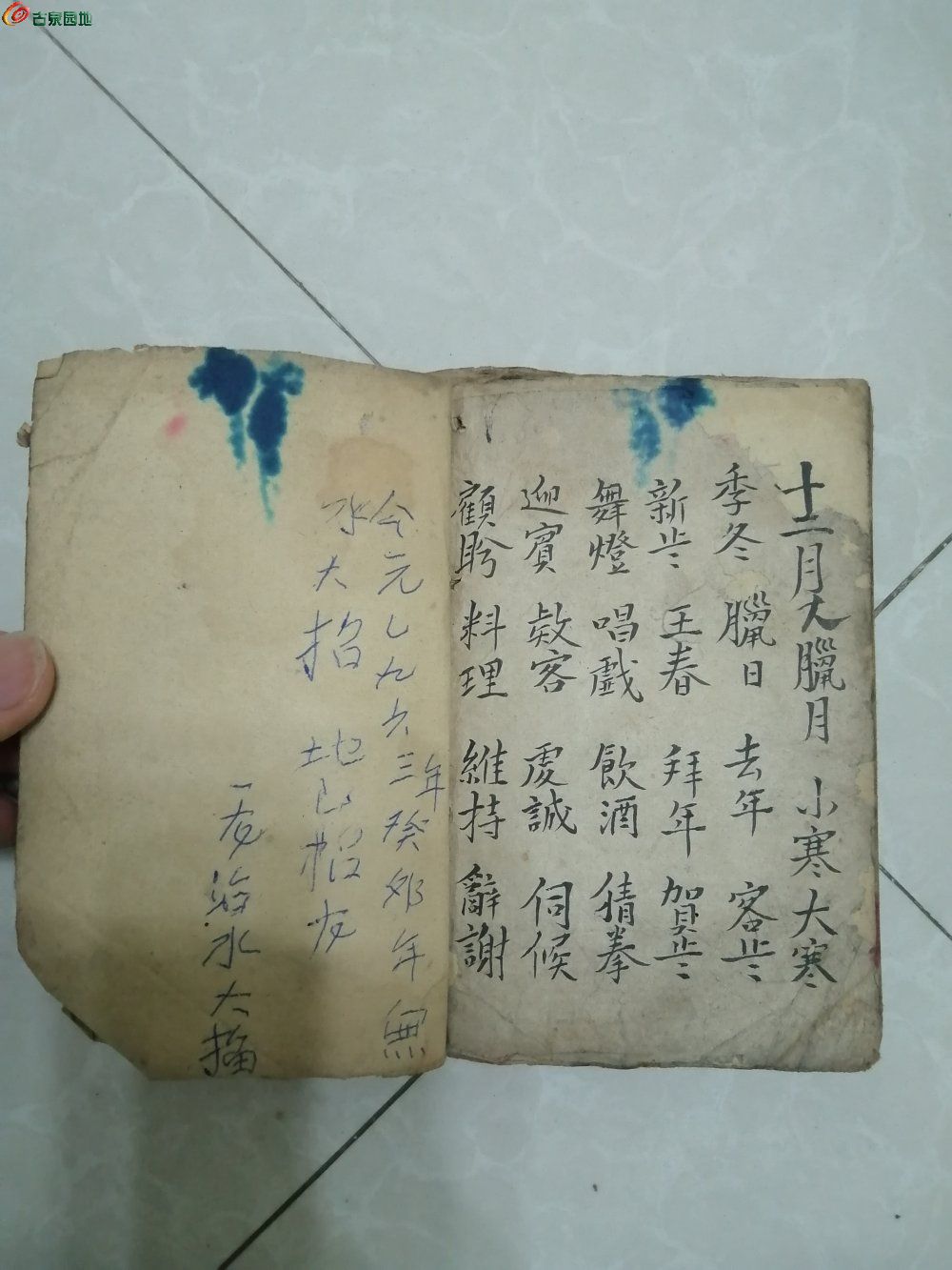 IMG_20230423_212949_edit_600043158406876