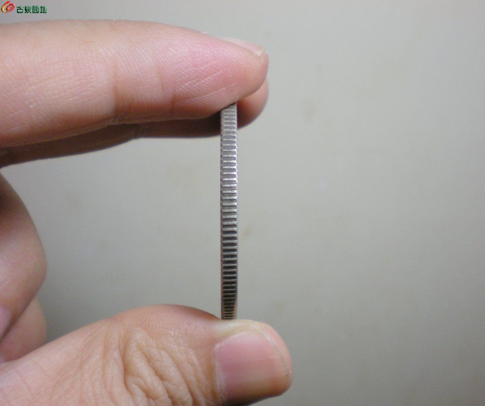 DSCN3978.jpg