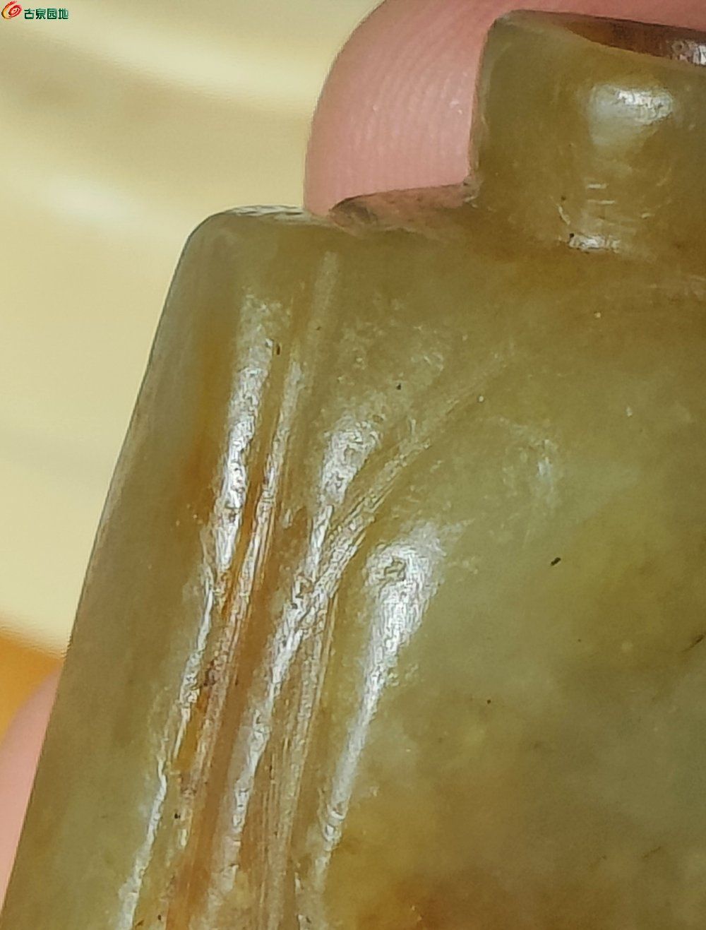 179,0113d5045656ba89.jpg