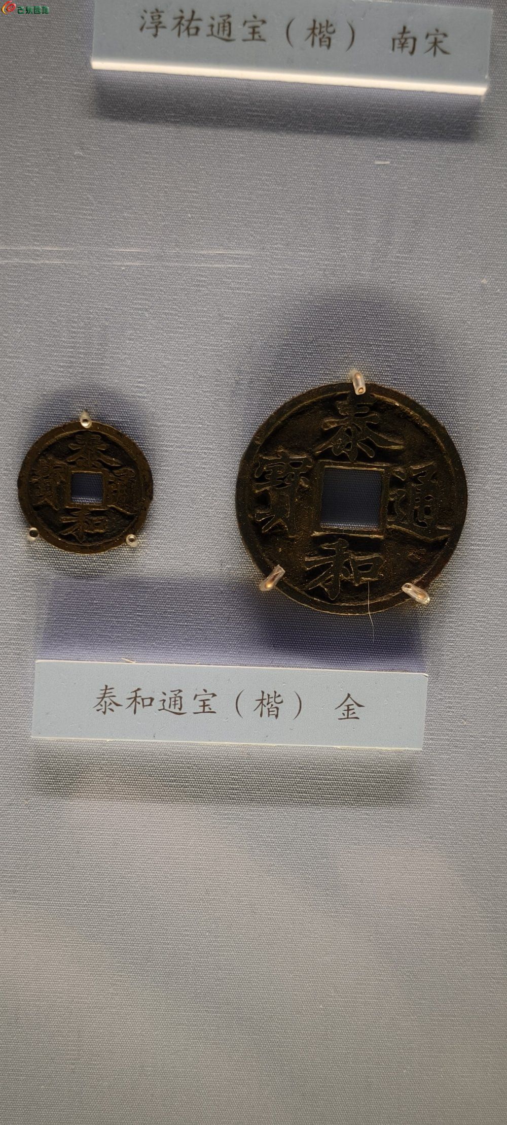 28537.jpg