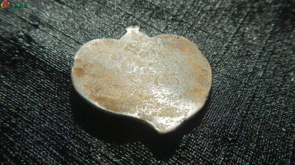 DSCN4540.JPG