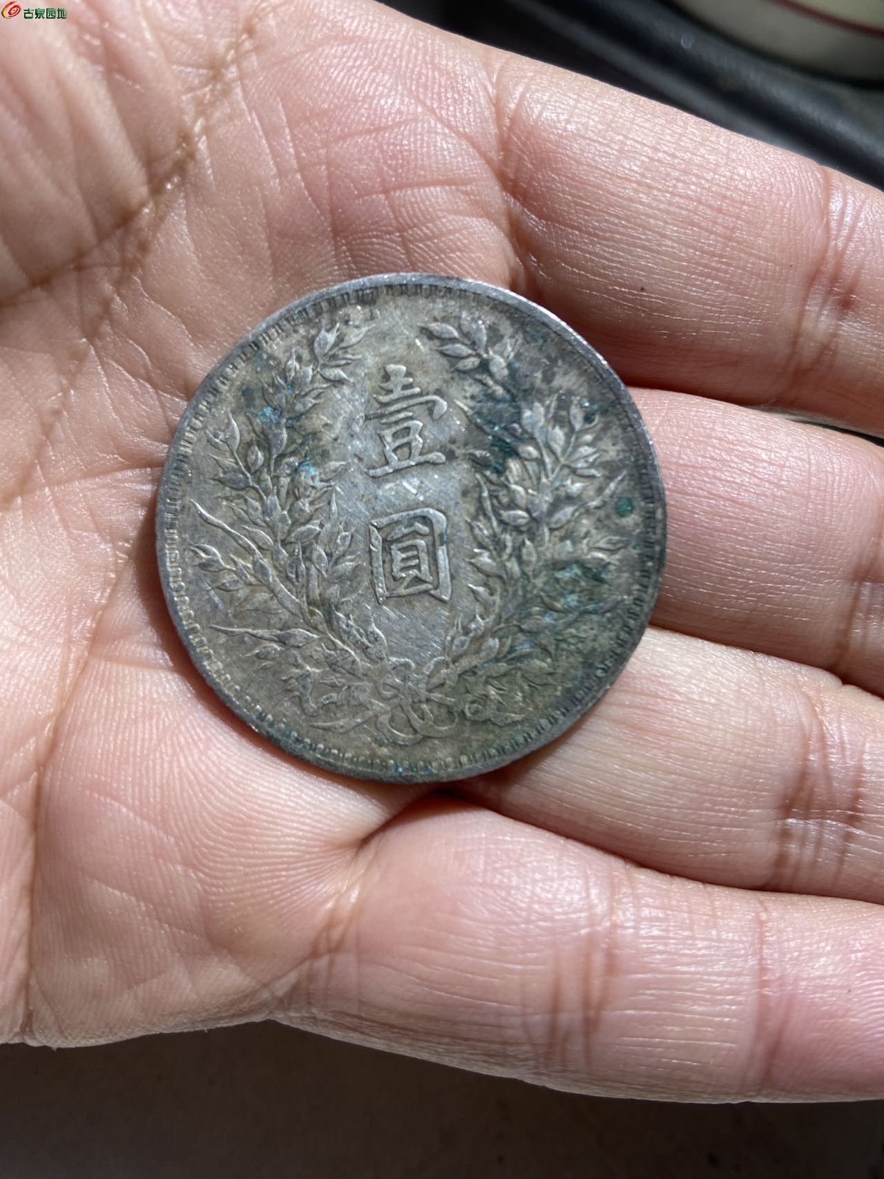 16507.jpg