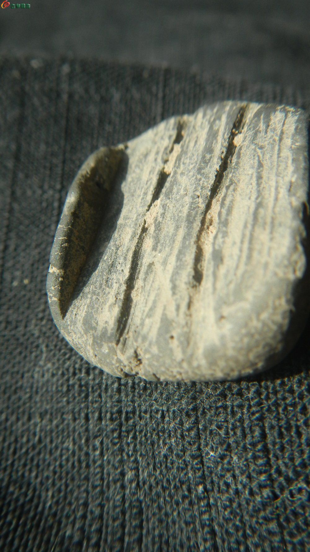 DSCN4739.JPG