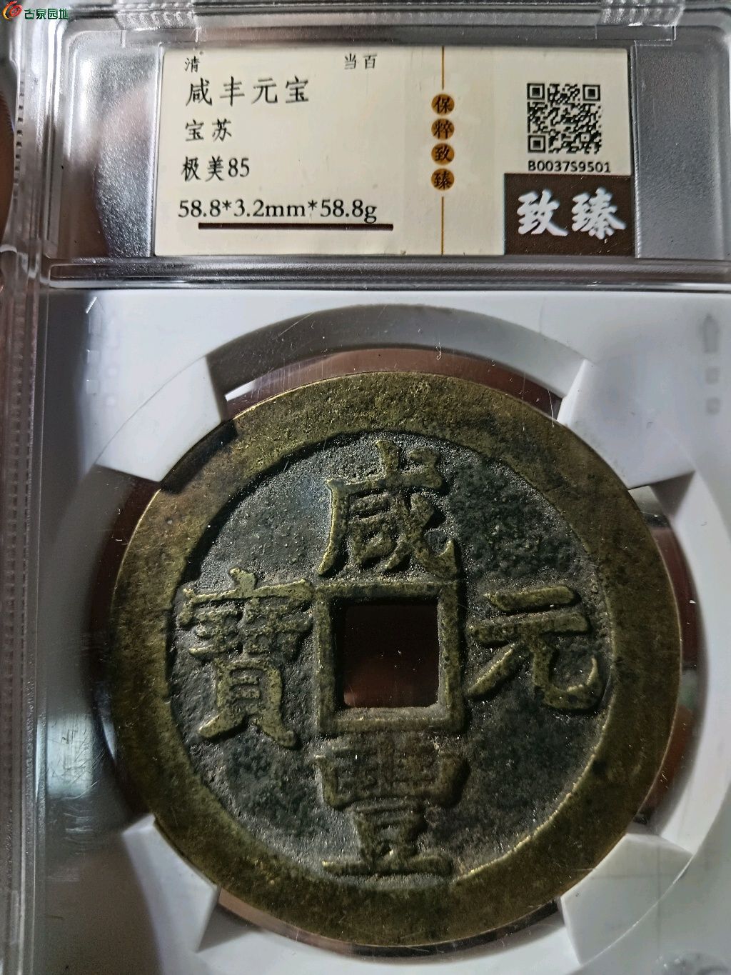 1766633485075.xfile.jpg