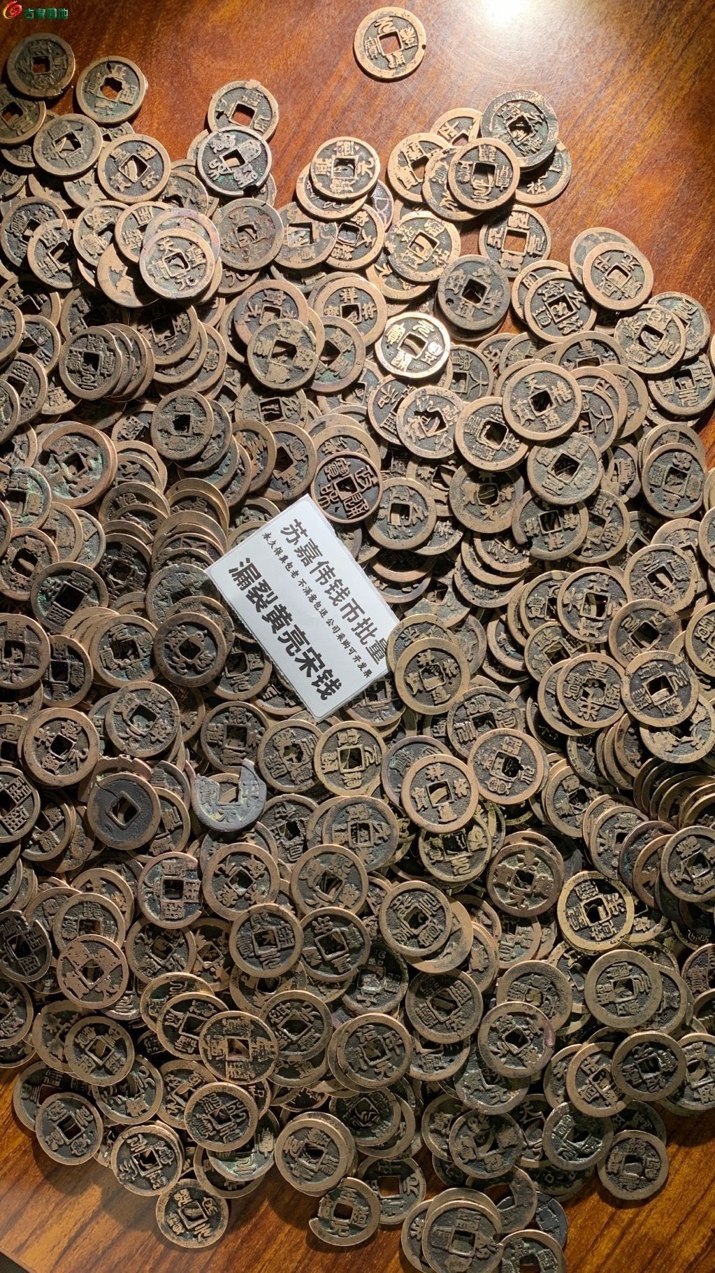1766915756773.xfile.jpg