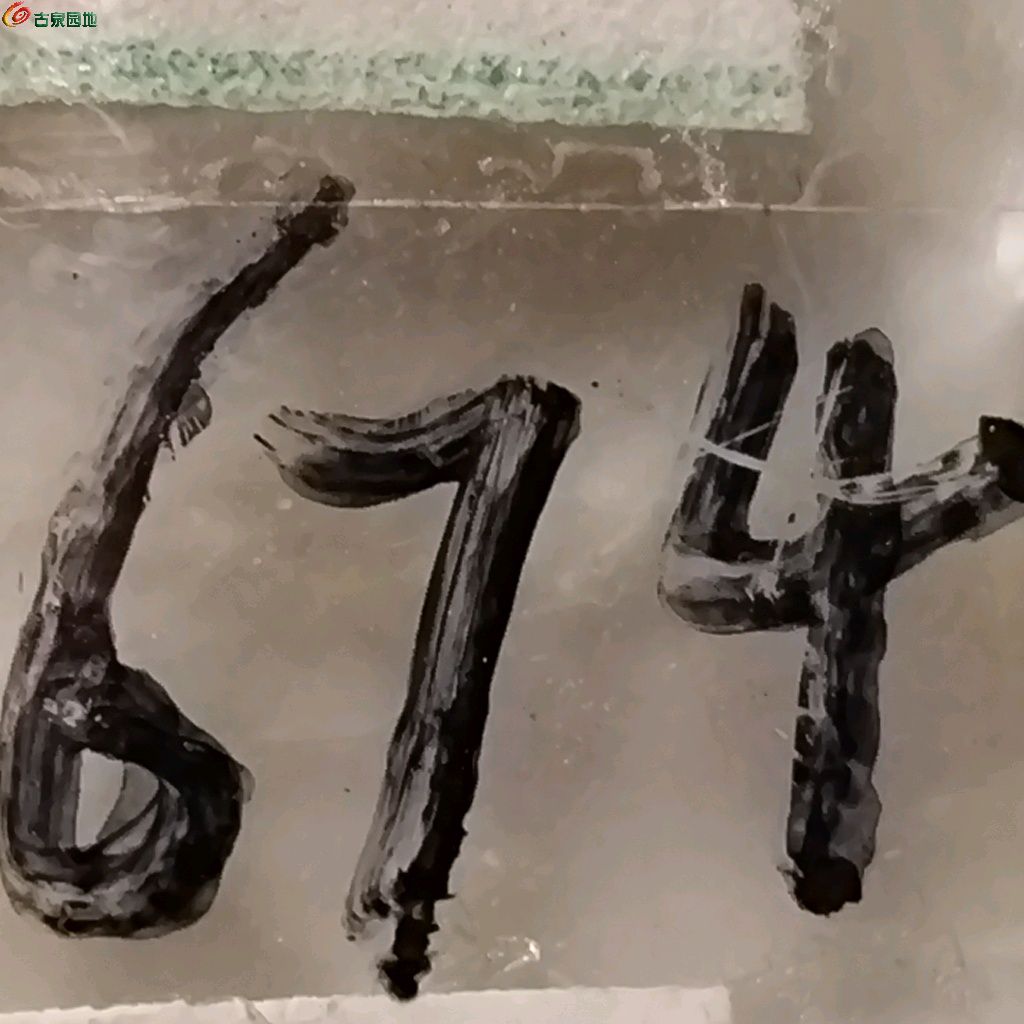 1766999185063.xfile.jpg